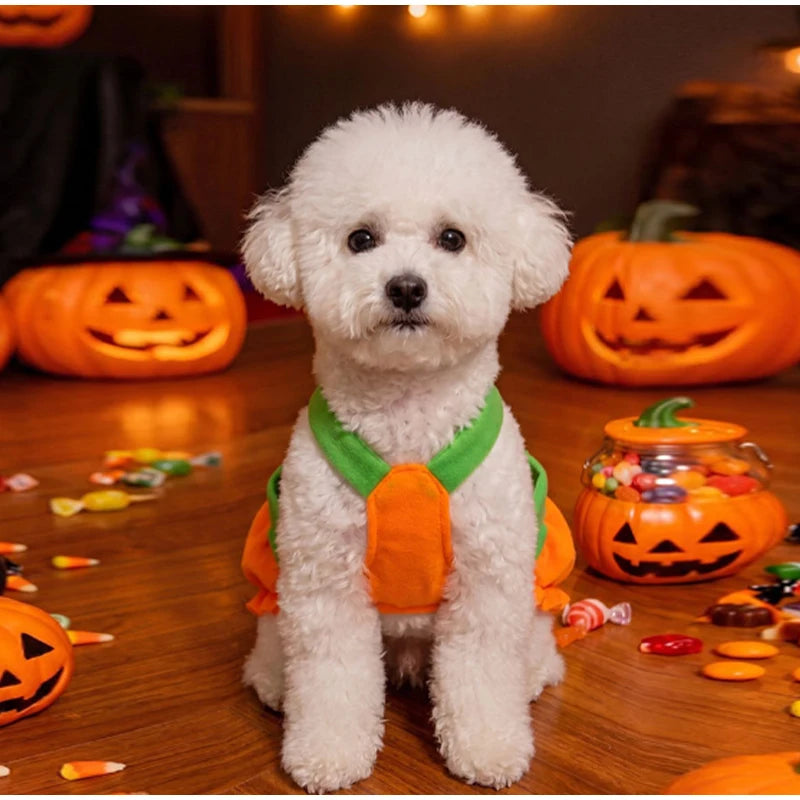 Halloween Pumpkin Pet Dress Funny Cosplay Costume For Small Dogs & Cats Cute Pumpkin  Skirt For Teddy & Kitten Halloween Outfit