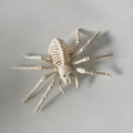 Halloween Decorations-Realistic Skeleton Props with Bats and Scorpions,Plastic Animal Bones for Haunted Houses,Bars,and Pranks