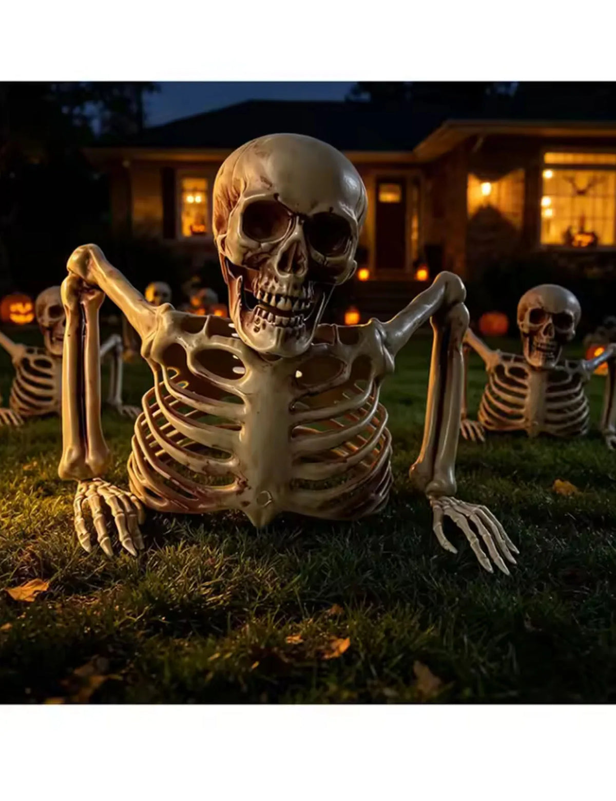Halloween Half Skeleton Party, Terrifying Scene Decoration, Outdoor and Indoor Escape Room Decoration, Horror Theme.