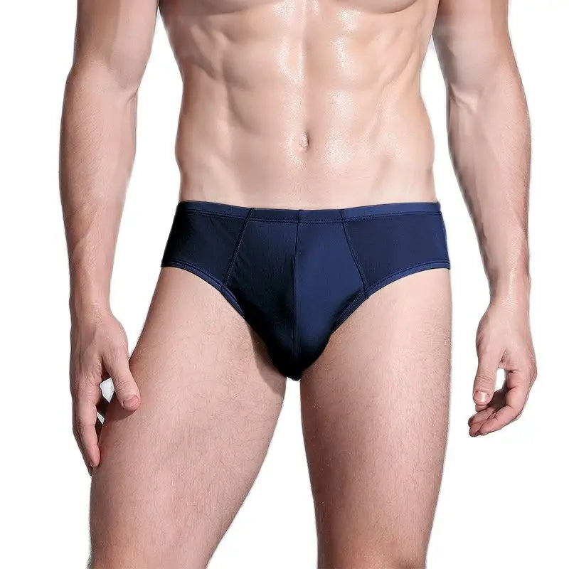 BirdTree 2PCS Men's Sexy Underwear, 100% Natural Silk Panties, Breathable, U-Convex Design, Elastic Biefs, 2026 New U34605C