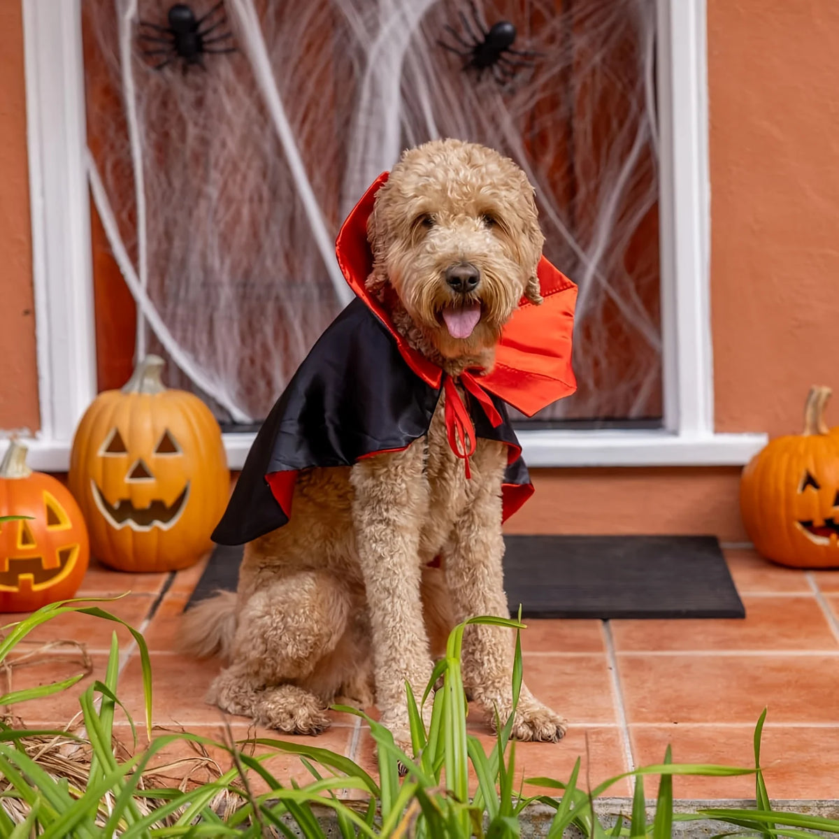 Halloween Dog Costume Cat Costume Vampire Cape Pet Costume Funny Devil Cloak Cosplay Outfit Halloween Party Dress Up Accessories