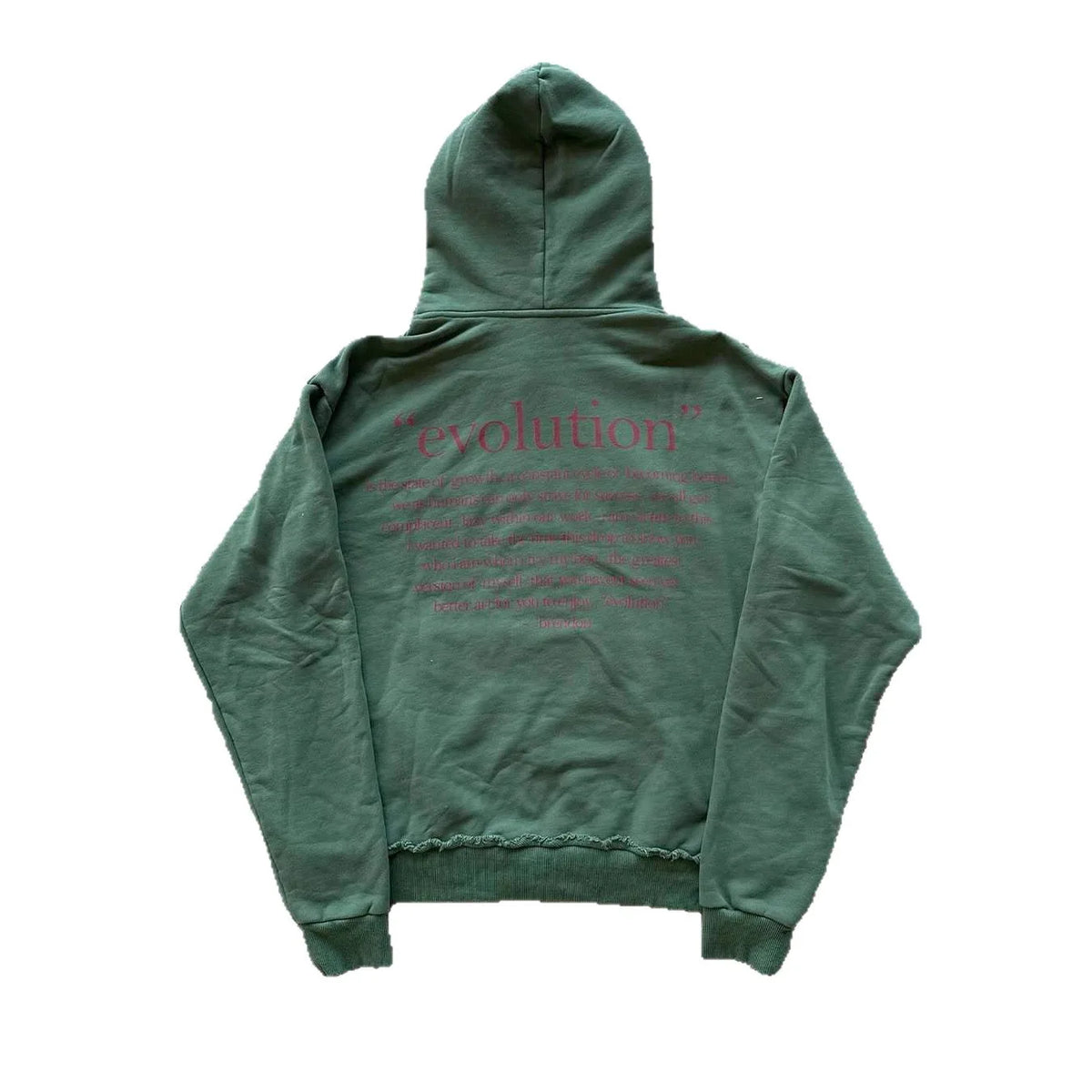 American style new loose-fitting 2025 design fashionable and casual fleece-lined, printed hoodie with featuring printed hood