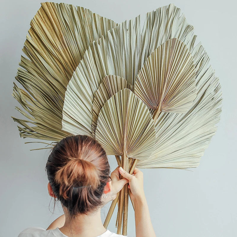 Palm Fan Leaf Palm Leaf Window Reception Party Art Wall Hanging Decoration Wedding Arch Arrangement