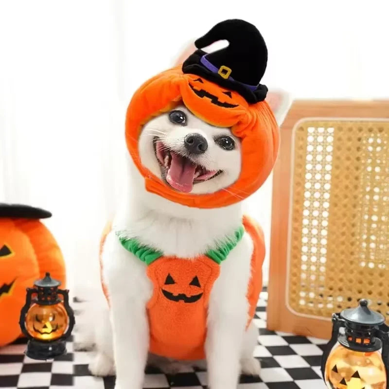 Halloween Dog Costumes Funny Pumpkin Lantern Transformation Outfit Halloween Dog Cat Two Legged Pet Cute Pumpkin Hat Dog Jacket