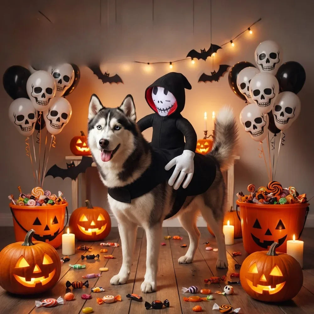 Halloween Pet Dog Costume Skeleton Ghost Riding Dog Outfit Funny Cosplay Clothes Medium Large Dogs Party Photo Props Pet Supplie