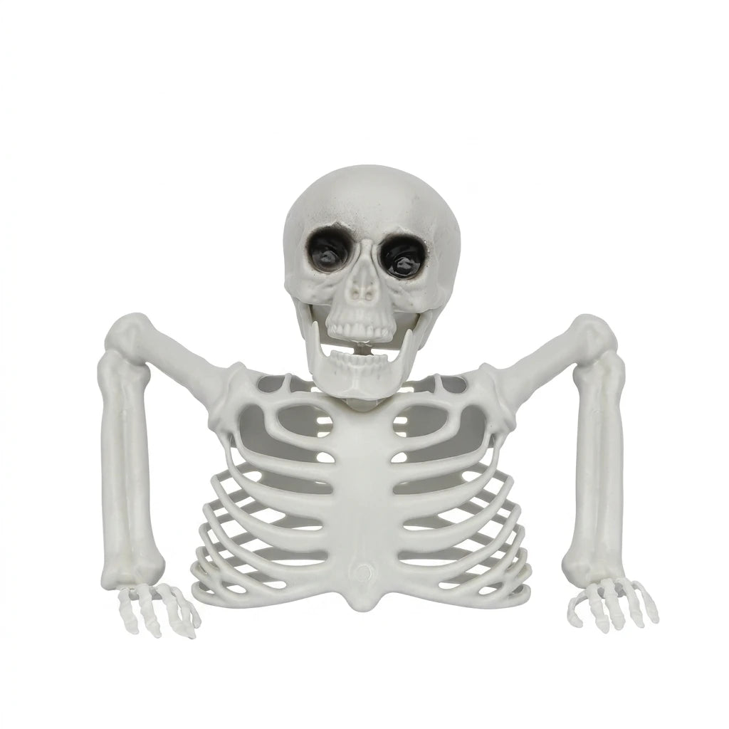 Halloween Realistic Skeleton Ornament with Movable Joints for Outdoor Yard Hallway Party Decoration
