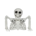 Halloween Realistic Skeleton Ornament with Movable Joints for Outdoor Yard Hallway Party Decoration